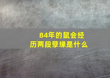 84年的鼠会经历两段孽缘是什么