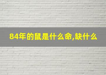 84年的鼠是什么命,缺什么