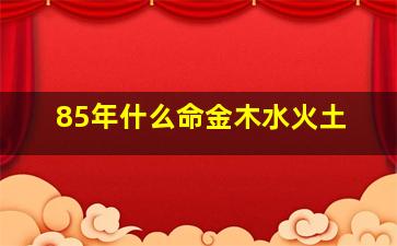 85年什么命金木水火土