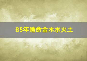 85年啥命金木水火土