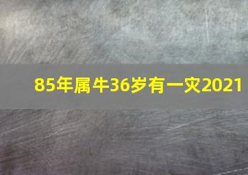 85年属牛36岁有一灾2021