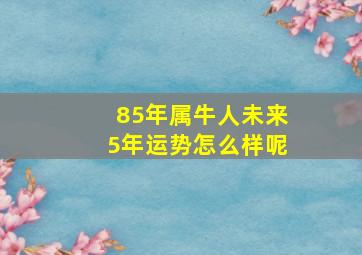 85年属牛人未来5年运势怎么样呢