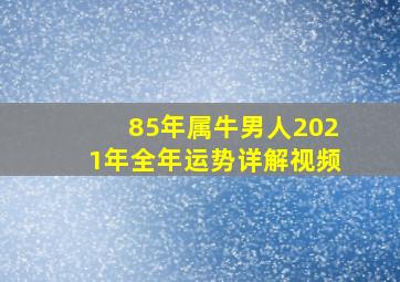 85年属牛男人2021年全年运势详解视频