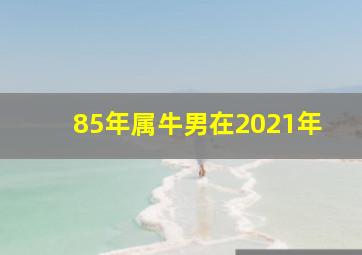 85年属牛男在2021年