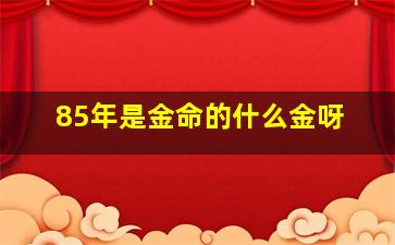 85年是金命的什么金呀