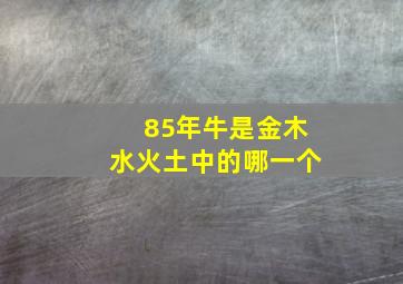 85年牛是金木水火土中的哪一个