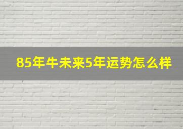 85年牛未来5年运势怎么样