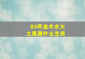 85年金木水火土是属什么生肖