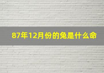 87年12月份的兔是什么命