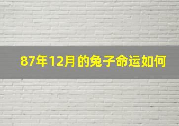 87年12月的兔子命运如何