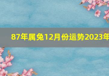 87年属兔12月份运势2023年