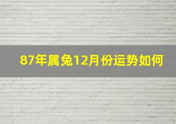 87年属兔12月份运势如何