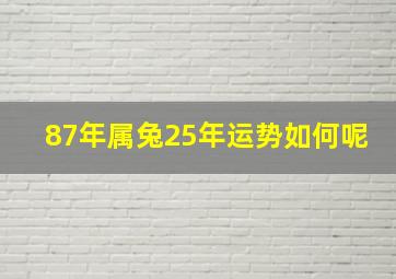 87年属兔25年运势如何呢