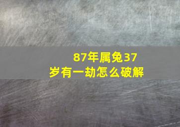 87年属兔37岁有一劫怎么破解