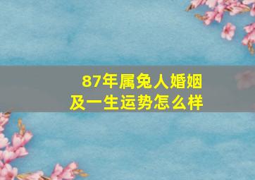 87年属兔人婚姻及一生运势怎么样