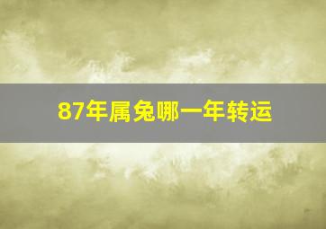 87年属兔哪一年转运