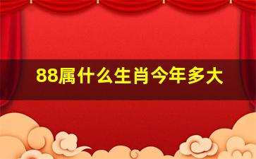 88属什么生肖今年多大