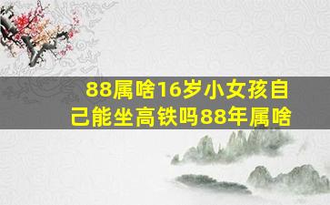 88属啥16岁小女孩自己能坐高铁吗88年属啥