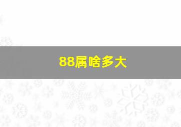 88属啥多大