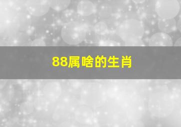 88属啥的生肖