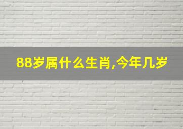 88岁属什么生肖,今年几岁