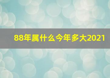 88年属什么今年多大2021