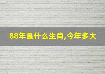 88年是什么生肖,今年多大