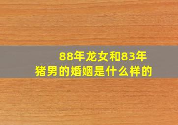 88年龙女和83年猪男的婚姻是什么样的