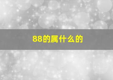 88的属什么的