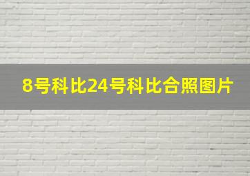 8号科比24号科比合照图片