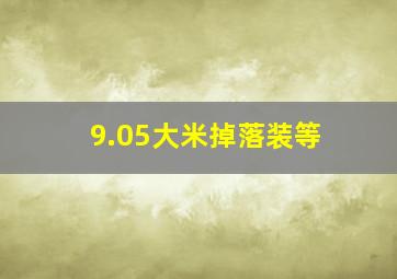 9.05大米掉落装等