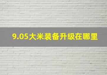 9.05大米装备升级在哪里