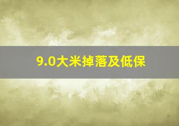 9.0大米掉落及低保