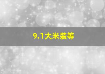 9.1大米装等