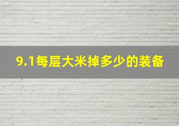 9.1每层大米掉多少的装备