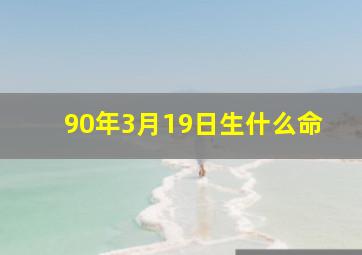 90年3月19日生什么命