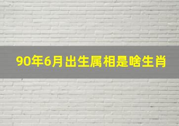 90年6月出生属相是啥生肖