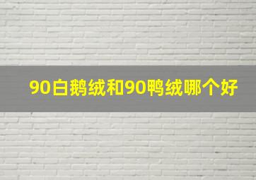 90白鹅绒和90鸭绒哪个好