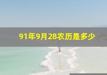 91年9月28农历是多少