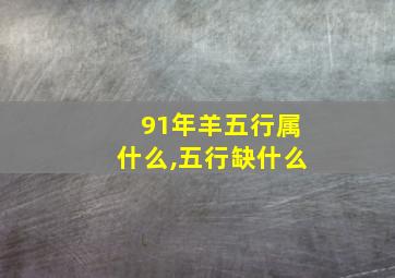 91年羊五行属什么,五行缺什么