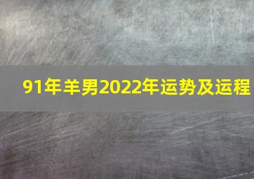 91年羊男2022年运势及运程