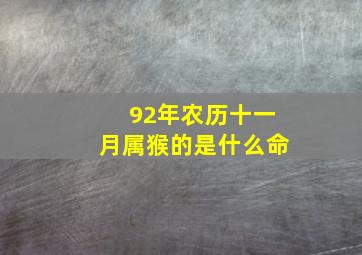 92年农历十一月属猴的是什么命