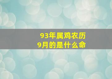 93年属鸡农历9月的是什么命