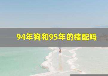 94年狗和95年的猪配吗