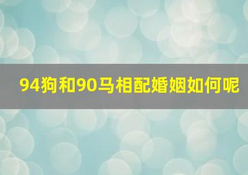 94狗和90马相配婚姻如何呢