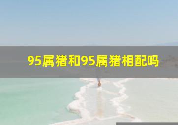 95属猪和95属猪相配吗