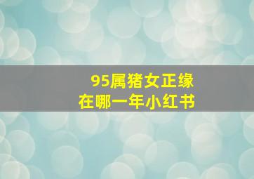 95属猪女正缘在哪一年小红书