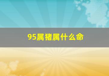 95属猪属什么命