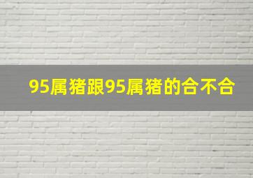 95属猪跟95属猪的合不合