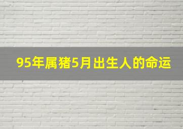 95年属猪5月出生人的命运